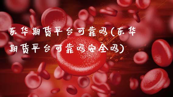 东华期货平台可靠吗(东华期货平台可靠吗安全吗)_https://www.qianjuhuagong.com_期货平台_第1张