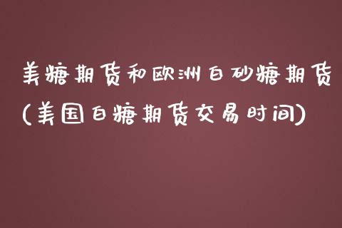 美糖期货和欧洲白砂糖期货(美国白糖期货交易时间)_https://www.qianjuhuagong.com_期货平台_第1张