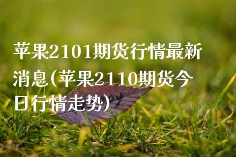 苹果2101期货行情最新消息(苹果2110期货今日行情走势)_https://www.qianjuhuagong.com_期货开户_第1张