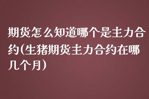 期货怎么知道哪个是主力合约(生猪期货主力合约在哪几个月)_https://www.qianjuhuagong.com_期货行情_第1张