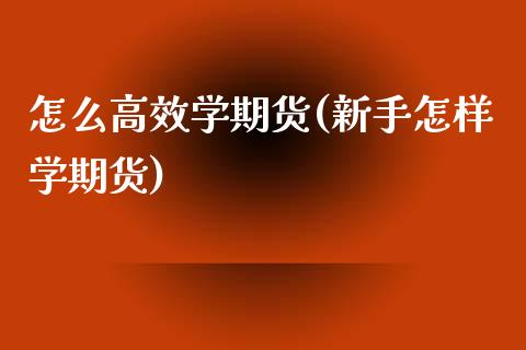 怎么高效学期货(新手怎样学期货)_https://www.qianjuhuagong.com_期货开户_第1张