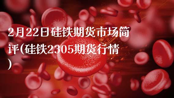 2月22日硅铁期货市场简评(硅铁2305期货行情)_https://www.qianjuhuagong.com_期货百科_第1张