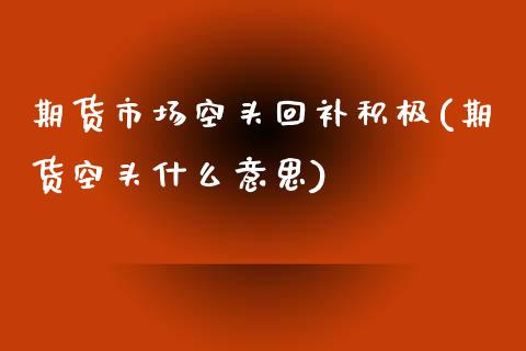 期货市场空头回补积极(期货空头什么意思)_https://www.qianjuhuagong.com_期货平台_第1张