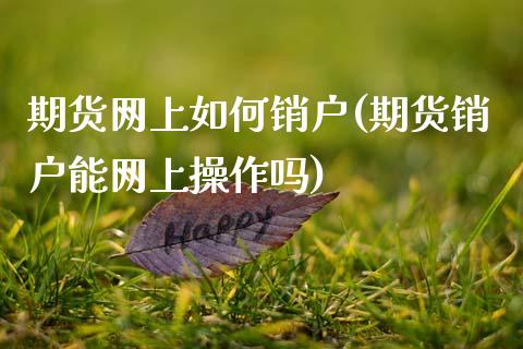 期货网上如何销户(期货销户能网上操作吗)_https://www.qianjuhuagong.com_期货直播_第1张