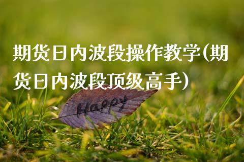 期货日内波段操作教学(期货日内波段顶级高手)_https://www.qianjuhuagong.com_期货百科_第1张