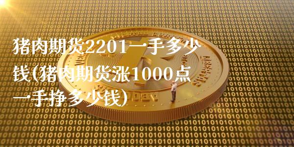 猪肉期货2201一手多少钱(猪肉期货涨1000点一手挣多少钱)_https://www.qianjuhuagong.com_期货开户_第1张