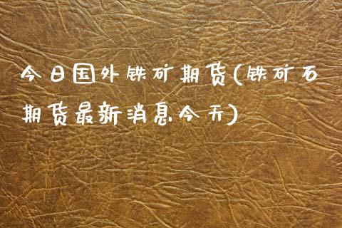 今日国外铁矿期货(铁矿石期货最新消息今天)_https://www.qianjuhuagong.com_期货开户_第1张