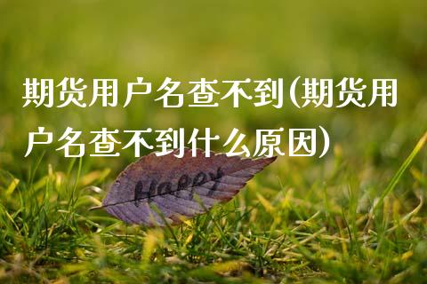 期货用户名查不到(期货用户名查不到什么原因)_https://www.qianjuhuagong.com_期货平台_第1张