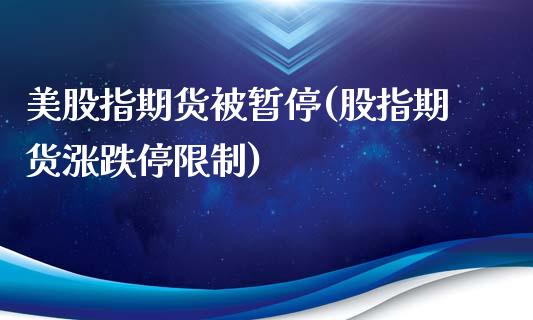 美股指期货被暂停(股指期货涨跌停限制)_https://www.qianjuhuagong.com_期货开户_第1张