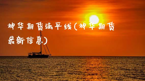 神华期货强平线(神华期货最新信息)_https://www.qianjuhuagong.com_期货平台_第1张