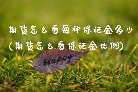 期货怎么看每种保证金多少(期货怎么看保证金比例)_https://www.qianjuhuagong.com_期货平台_第1张