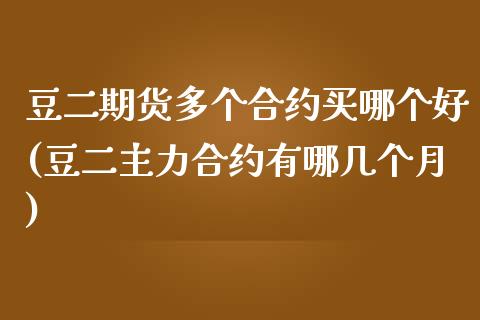 豆二期货多个合约买哪个好(豆二主力合约有哪几个月)_https://www.qianjuhuagong.com_期货行情_第1张