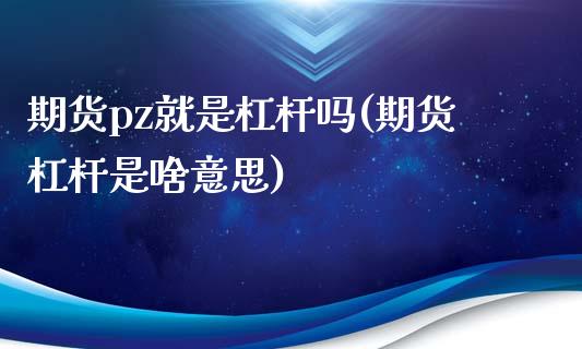 期货pz就是杠杆吗(期货杠杆是啥意思)_https://www.qianjuhuagong.com_期货开户_第1张