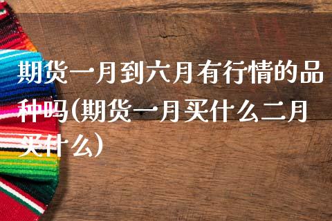 期货一月到六月有行情的品种吗(期货一月买什么二月买什么)_https://www.qianjuhuagong.com_期货百科_第1张