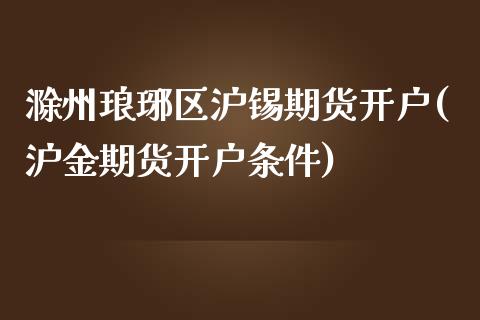 滁州琅琊区沪锡期货开户(沪金期货开户条件)_https://www.qianjuhuagong.com_期货直播_第1张