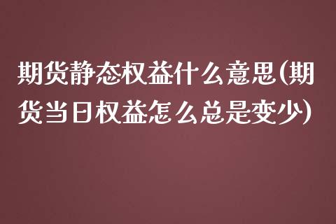 期货静态权益什么意思(期货当日权益怎么总是变少)_https://www.qianjuhuagong.com_期货平台_第1张