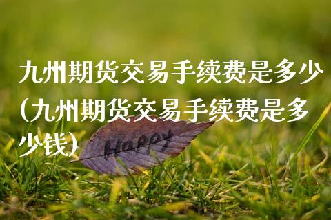 九州期货交易手续费是多少(九州期货交易手续费是多少钱)_https://www.qianjuhuagong.com_期货直播_第1张