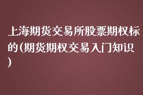 上海期货交易所股票期权标的(期货期权交易入门知识)_https://www.qianjuhuagong.com_期货平台_第1张