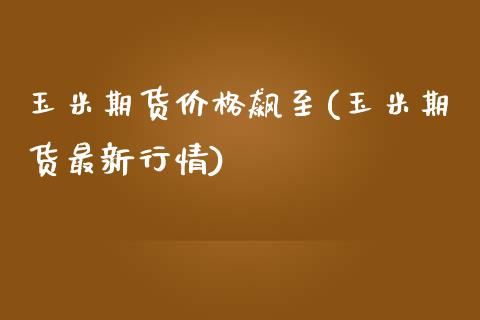 玉米期货价格飙至(玉米期货最新行情)_https://www.qianjuhuagong.com_期货平台_第1张