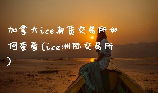 加拿大ice期货交易所如何查看(ice洲际交易所)_https://www.qianjuhuagong.com_期货开户_第1张