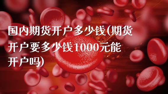 国内期货开户多少钱(期货开户要多少钱1000元能开户吗)_https://www.qianjuhuagong.com_期货开户_第1张