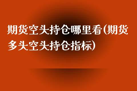 期货空头持仓哪里看(期货多头空头持仓指标)_https://www.qianjuhuagong.com_期货百科_第1张