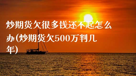 炒期货欠很多钱还不起怎么办(炒期货欠500万判几年)_https://www.qianjuhuagong.com_期货开户_第1张