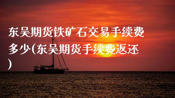 东吴期货铁矿石交易手续费多少(东吴期货手续费返还)_https://www.qianjuhuagong.com_期货百科_第1张