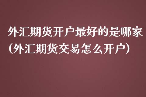 外汇期货开户最好的是哪家(外汇期货交易怎么开户)_https://www.qianjuhuagong.com_期货行情_第1张