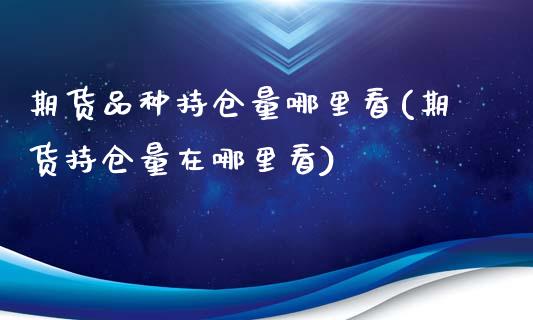 期货品种持仓量哪里看(期货持仓量在哪里看)_https://www.qianjuhuagong.com_期货直播_第1张