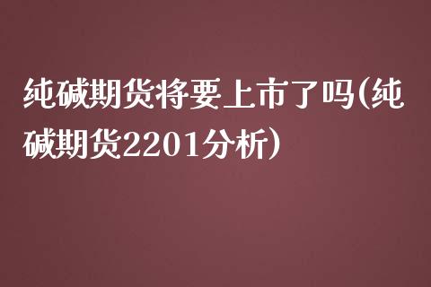 纯碱期货将要上市了吗(纯碱期货2201分析)_https://www.qianjuhuagong.com_期货百科_第1张