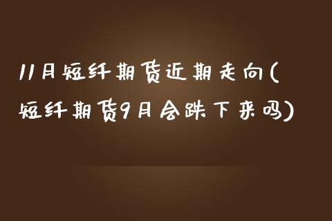 11月短纤期货近期走向(短纤期货9月会跌下来吗)_https://www.qianjuhuagong.com_期货开户_第1张