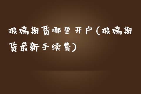 玻璃期货哪里开户(玻璃期货最新手续费)_https://www.qianjuhuagong.com_期货平台_第1张