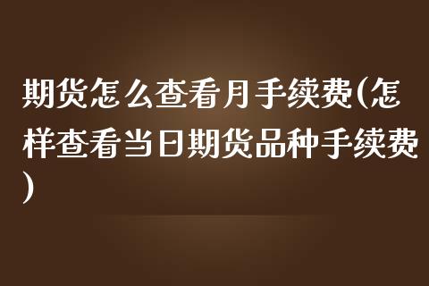 期货怎么查看月手续费(怎样查看当日期货品种手续费)_https://www.qianjuhuagong.com_期货开户_第1张