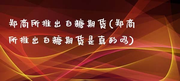 郑商所推出白糖期货(郑商所推出白糖期货是真的吗)_https://www.qianjuhuagong.com_期货平台_第1张