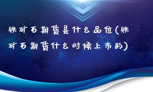 铁矿石期货是什么品位(铁矿石期货什么时候上市的)_https://www.qianjuhuagong.com_期货平台_第1张