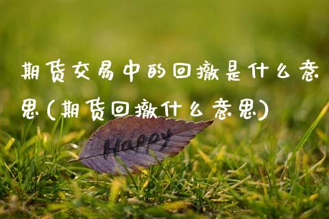 期货交易中的回撤是什么意思(期货回撤什么意思)_https://www.qianjuhuagong.com_期货百科_第1张