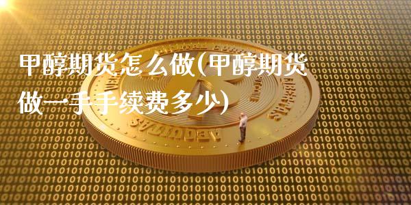 甲醇期货怎么做(甲醇期货做一手手续费多少)_https://www.qianjuhuagong.com_期货百科_第1张