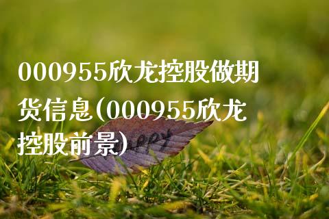 000955欣龙控股做期货信息(000955欣龙控股前景)_https://www.qianjuhuagong.com_期货百科_第1张