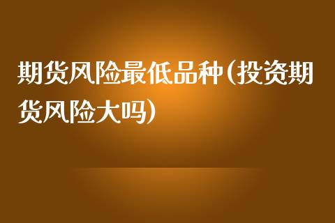 期货风险最低品种(投资期货风险大吗)_https://www.qianjuhuagong.com_期货直播_第1张