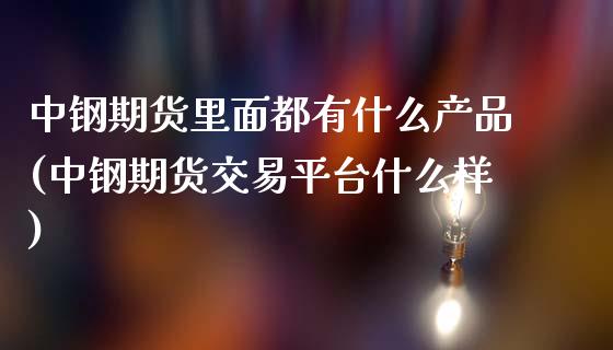 中钢期货里面都有什么产品(中钢期货交易平台什么样)_https://www.qianjuhuagong.com_期货平台_第1张