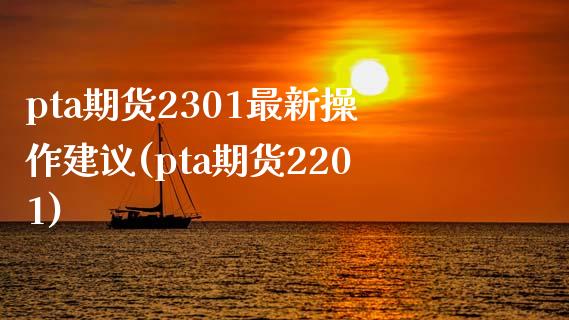 pta期货2301最新操作建议(pta期货2201)_https://www.qianjuhuagong.com_期货平台_第1张