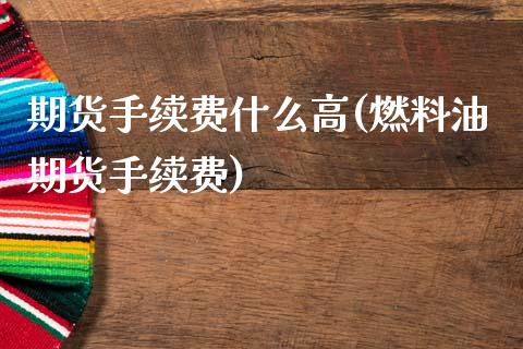 期货手续费什么高(燃料油期货手续费)_https://www.qianjuhuagong.com_期货行情_第1张