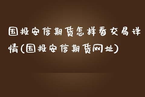 国投安信期货怎样看交易详情(国投安信期货网址)_https://www.qianjuhuagong.com_期货开户_第1张