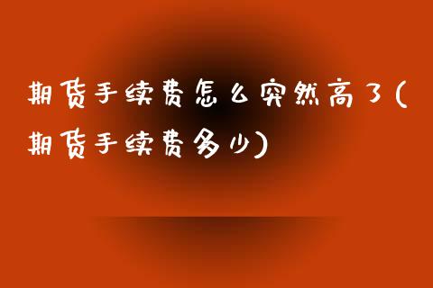 期货手续费怎么突然高了(期货手续费多少)_https://www.qianjuhuagong.com_期货开户_第1张