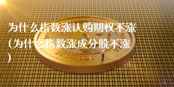 为什么指数涨认购期权不涨(为什么指数涨成分股不涨)_https://www.qianjuhuagong.com_期货百科_第1张