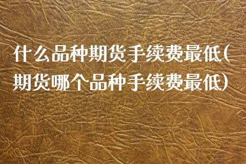 什么品种期货手续费最低(期货哪个品种手续费最低)_https://www.qianjuhuagong.com_期货开户_第1张