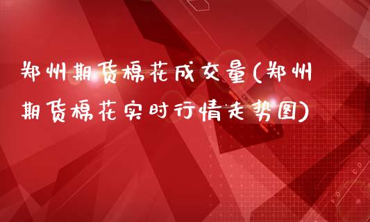 郑州期货棉花成交量(郑州期货棉花实时行情走势图)_https://www.qianjuhuagong.com_期货平台_第1张