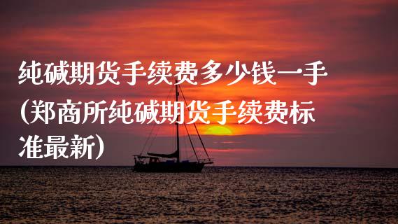 纯碱期货手续费多少钱一手(郑商所纯碱期货手续费标准最新)_https://www.qianjuhuagong.com_期货百科_第1张