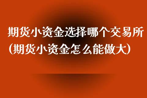 期货小资金选择哪个交易所(期货小资金怎么能做大)_https://www.qianjuhuagong.com_期货直播_第1张